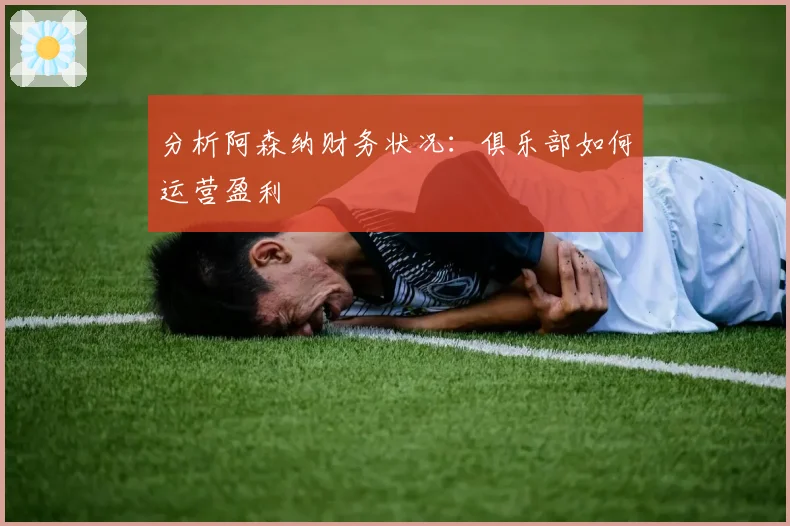 分析阿森纳财务状况:俱乐部如何运营盈利