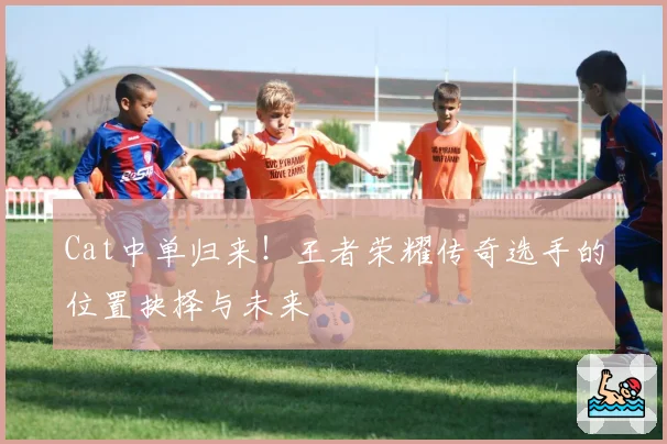 Cat中单归来!王者荣耀传奇选手的位置抉择与未来