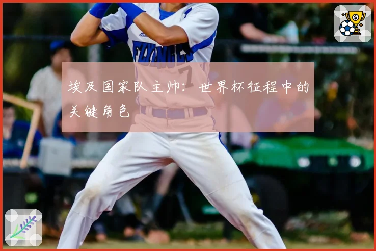埃及国家队主帅:世界杯征程中的关键角色