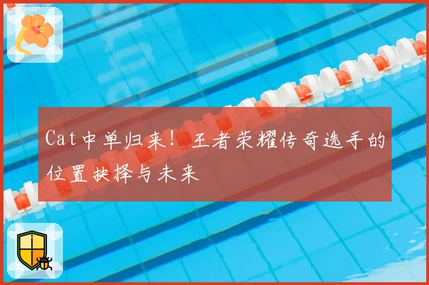 Cat中单归来!王者荣耀传奇选手的位置抉择与未来