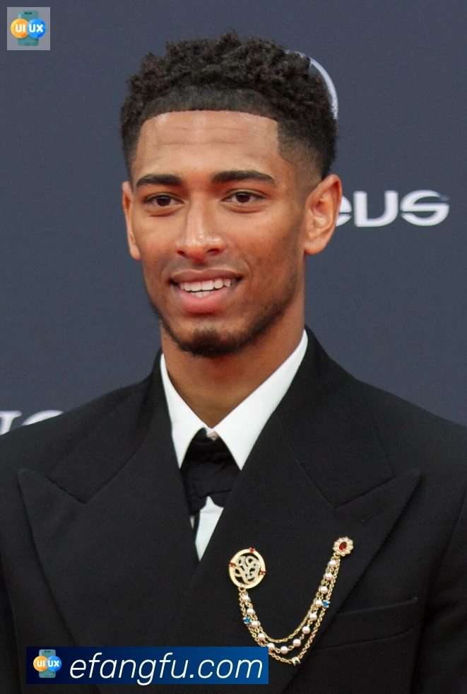 维尼修斯